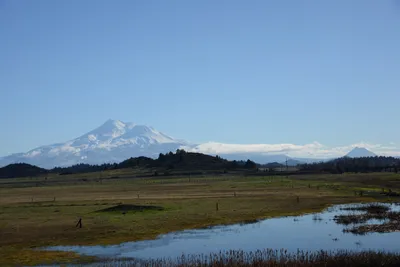 DSC_1050 (Large).JPG